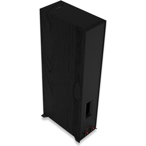 Напольная колонка R-605FA, изображение 9