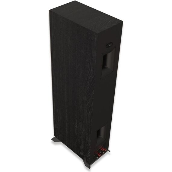 Напольная колонка RP-5000F II Ebony, Цвет: Ebony, изображение 9