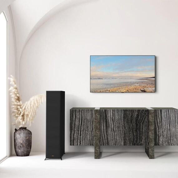 Напольная колонка RP-8000F II Ebony, Цвет: Ebony, изображение 6