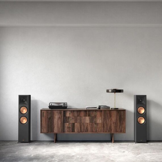 Напольная колонка RP-8000F II Ebony, Цвет: Ebony, изображение 5