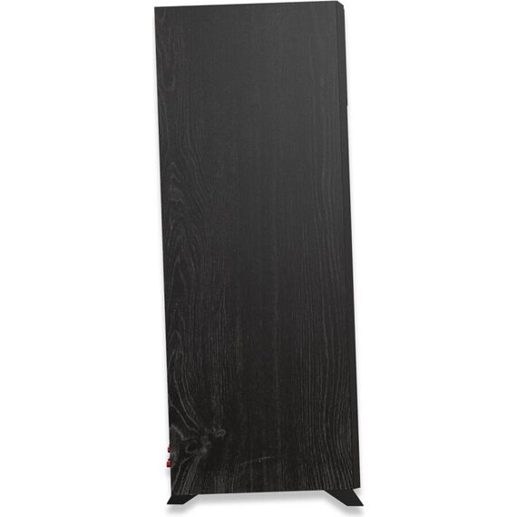 Напольная колонка RP-8000F II Ebony, Цвет: Ebony, изображение 10
