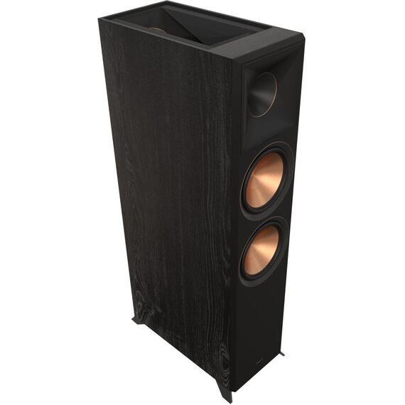 Напольная колонка RP-8060FA II Ebony, Цвет: Ebony, изображение 10