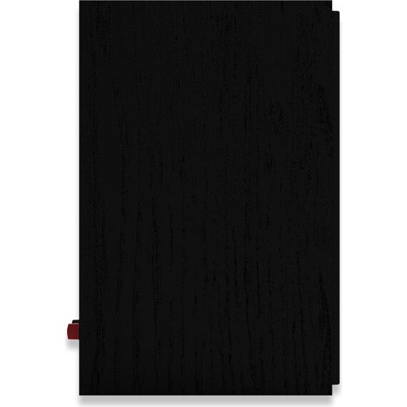 Полочные колонки R-40M Black, изображение 6