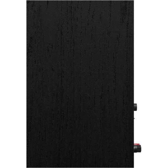 Полочные колонки R-40PM Black, изображение 5
