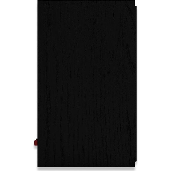 Полочные колонки R-50M Black, изображение 10