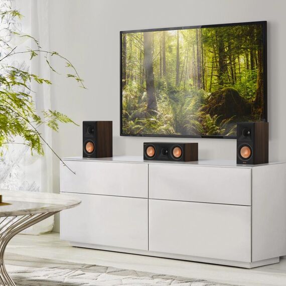 Динамик центрального канала RP-500C II Walnut, Цвет: Walnut, изображение 13