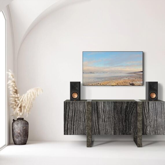 Полочные колонки RP-500M II Ebony, Цвет: Ebony, изображение 8
