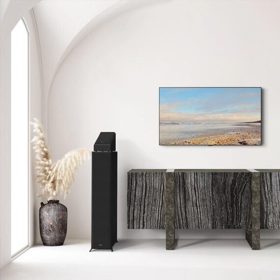 Полочные колонки RP-500SA II Ebony, Цвет: Ebony, изображение 10