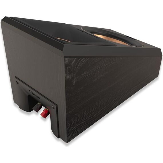 Полочные колонки RP-500SA II Ebony, Цвет: Ebony, изображение 6