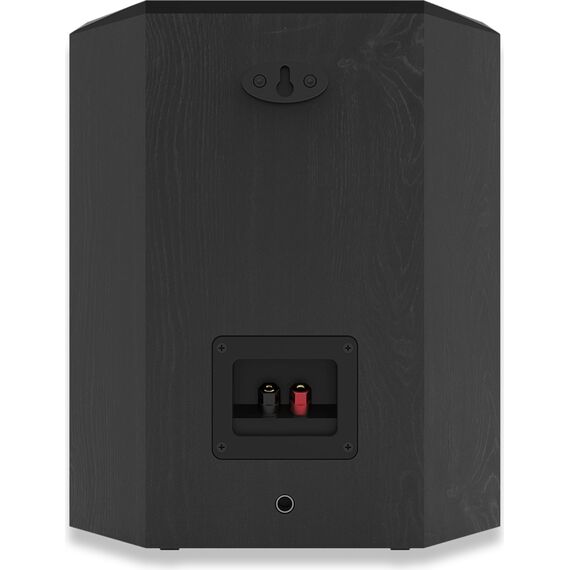Настенные динамики RP-502S II Ebony, Цвет: Ebony, изображение 7