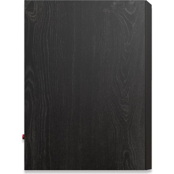 Полочные колонки RP-600M II Ebony, Цвет: Ebony, изображение 7