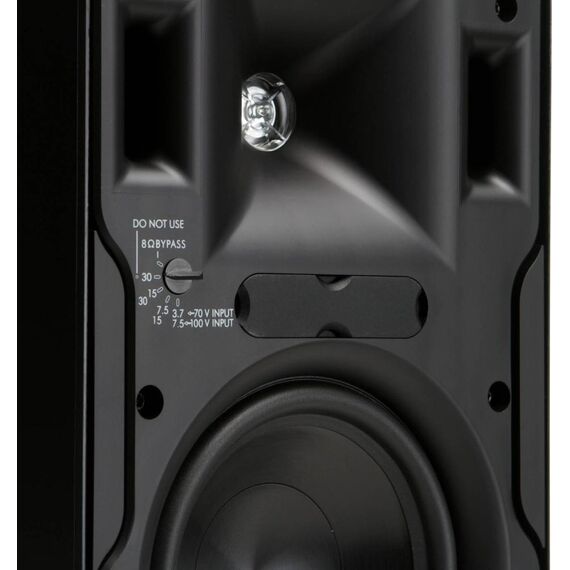 Всепогодная акустика CP-6T Black, Цвет: Black, изображение 7
