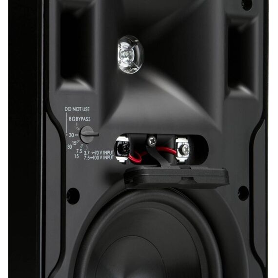 Всепогодная акустика CP-6T Black, Цвет: Black, изображение 6