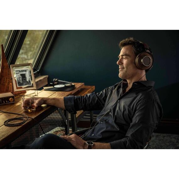 Наушники HP-3 Heritage Walnut, Цвет: Walnut, изображение 2