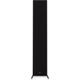 Напольная колонка RP-5000F II Ebony, Цвет: Ebony, изображение 11
