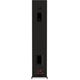 Напольная колонка RP-5000F II Ebony, Цвет: Ebony, изображение 8