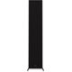 Напольная колонка RP-6000F II Ebony, Цвет: Ebony, изображение 10