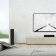 Напольная колонка RP-6000F II Ebony, Цвет: Ebony, изображение 2