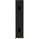 Напольная колонка RP-6000F II Ebony, Цвет: Ebony, изображение 7