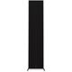 Напольная колонка RP-8000F II Ebony, Цвет: Ebony, изображение 13