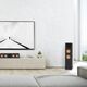 Напольная колонка RP-8000F II Ebony, Цвет: Ebony, изображение 3