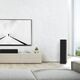 Напольная колонка RP-8000F II Ebony, Цвет: Ebony, изображение 2