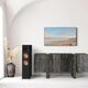 Напольная колонка RP-8060FA II Ebony, Цвет: Ebony, изображение 7