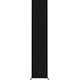 Напольная колонка  R-600F, изображение 6