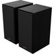 Полочные колонки R-40PM Black, изображение 2