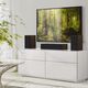 Динамик центрального канала RP-504C II Walnut, Цвет: Walnut, изображение 15