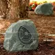Ландшафтная акустика PRO-500T-RK Granite, Цвет: Granite, изображение 3