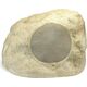 Ландшафтный сабвуфер PRO-10SW-RK Sandstone, Цвет: Sandstone, изображение 2