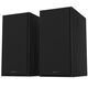 Полочные колонки Р-60М Black, изображение 2